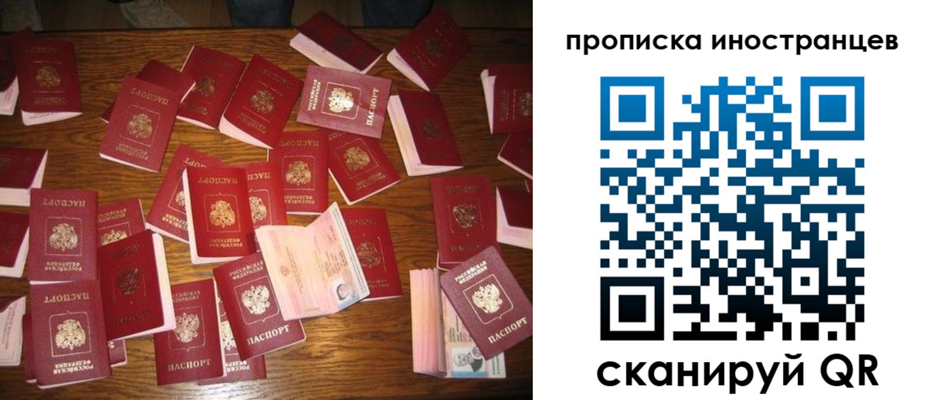 найти адрес прописки в Приозерске
